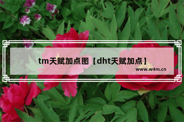 tm天赋加点图【dht天赋加点】