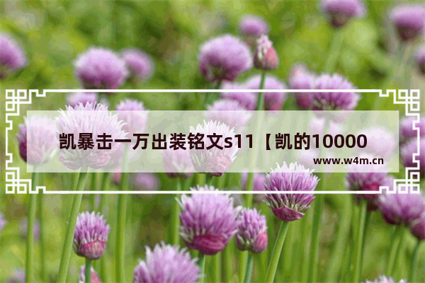 凯暴击一万出装铭文s11【凯的10000暴击铭文】