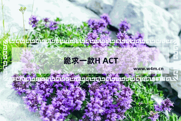 跪求一款H ACT